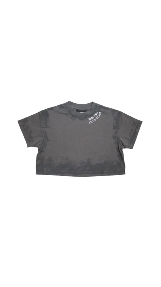 Limited Edition Mardi Gras Paisley Print Crop Top